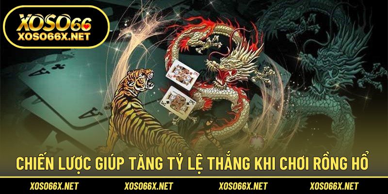 Áp dụng chiến thuật hợp lý để tối ưu tỷ lệ thắng cược
