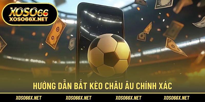 Cách đọc bảng tỷ lệ và lựa chọn kèo cược phù hợp nhất