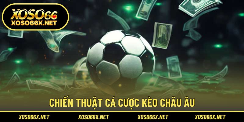 Chiến lược chơi kèo 1x2 hiệu quả và bền vững cho người mới