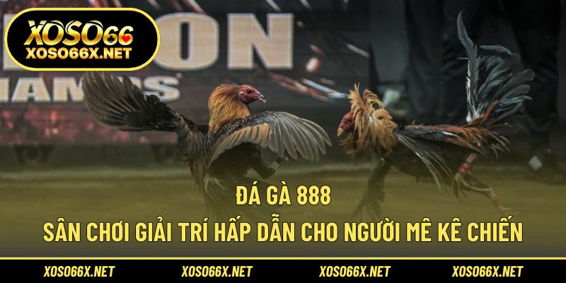 Đá gà 888