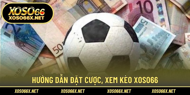 Hướng dẫn đặt cược, xem kèo XOSO66