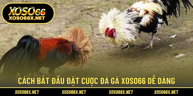 Hướng dẫn quy trình tham gia nhanh và an toàn