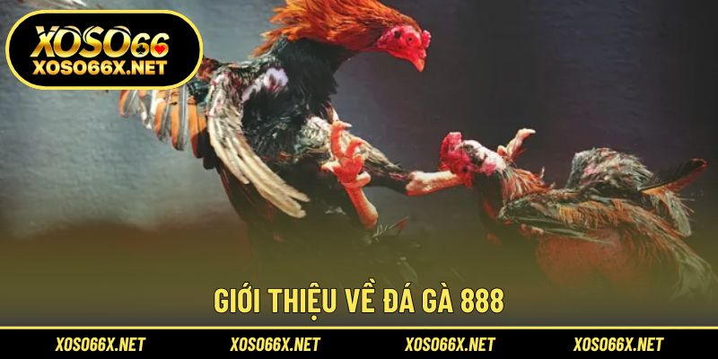 Khám phá điểm thú vị của bộ môn kê chiến trực tuyến