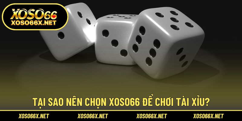 Khám phá lý do XOSO66 được người chơi tin tưởng lựa chọn