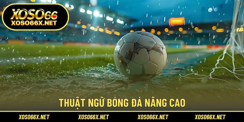 Khám phá ngôn ngữ chuyên sâu của dân cược lâu năm