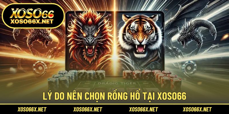 Khám phá sức hút của rồng hổ tại thương hiệu cá cược uy tín