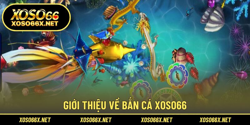 Khám phá trải nghiệm bắn cá thú vị và hấp dẫn