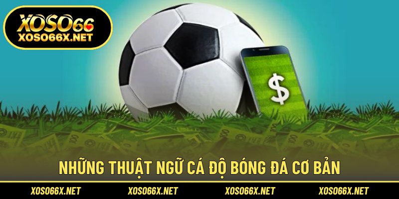 Kiến thức nền tảng giúp đọc kèo chính xác hơn