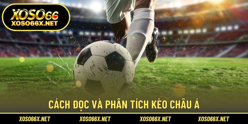 Mẹo đọc tỷ lệ cược chính xác cho người mới tham gia