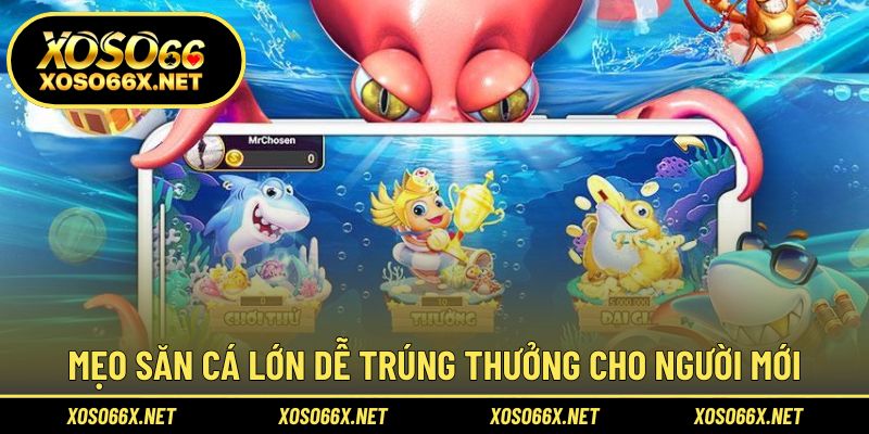 Mẹo giúp người chơi dễ dàng trúng cá vàng giá trị cao