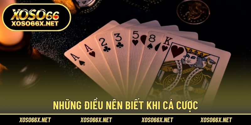 Những điều nên biết khi cá cược