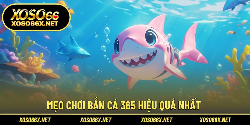 Tăng cơ hội săn thưởng với chiến thuật bắn hợp lý nhất