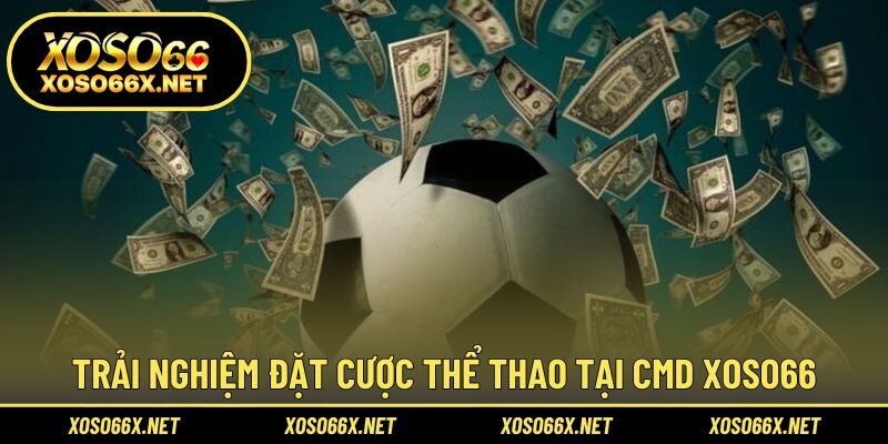 Tham gia cược thể thao dễ dàng với CMD hiện đại