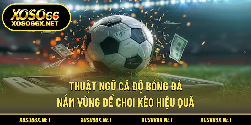 Thuật ngữ cá độ bóng đá