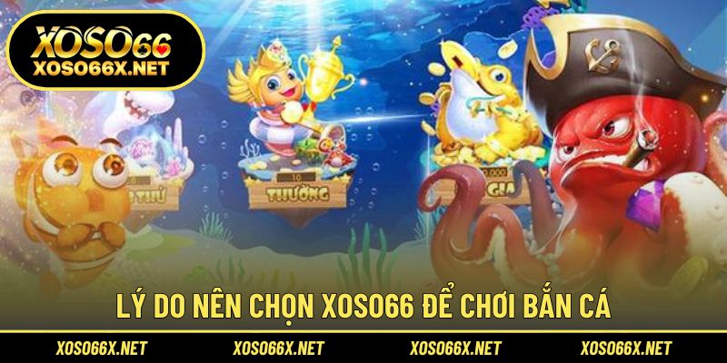 Trải nghiệm an toàn và lợi nhuận cao cho mọi người chơi