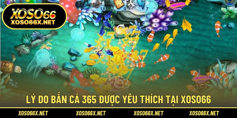 Trải nghiệm bắn cá vui, nhận thưởng nhanh tại mọi thời điểm